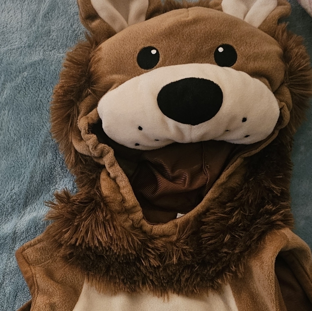 Adorable Lion Costume for Kids - Picture 7 of 7